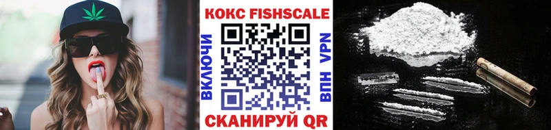 Кокаин Fish Scale  Купить закладки  Кологрив 
