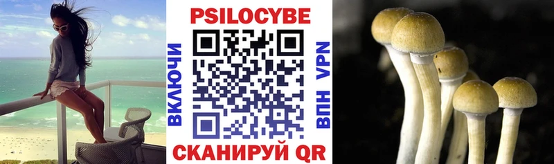 Галлюциногенные грибы ЛСД  Купить закладки  Кологрив 