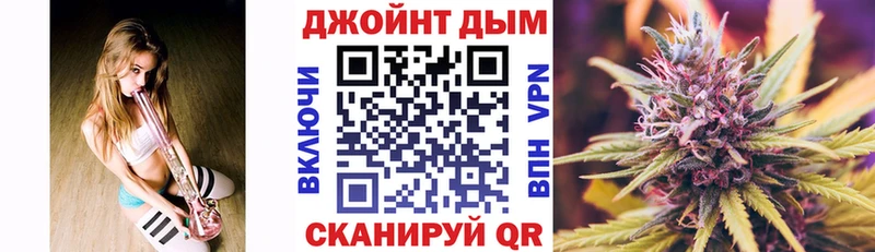 Купить где  Кологрив  Канабис гибрид 